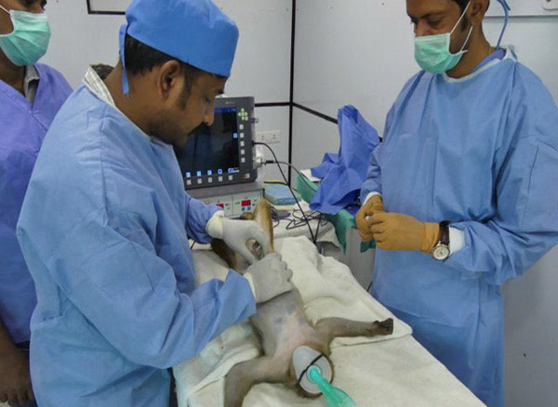 shocking-treatment-birth-1