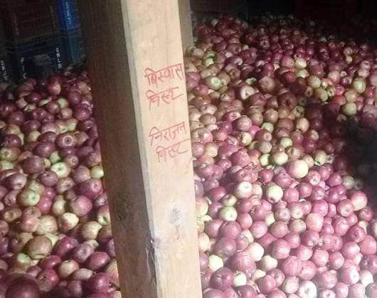 apple jumla