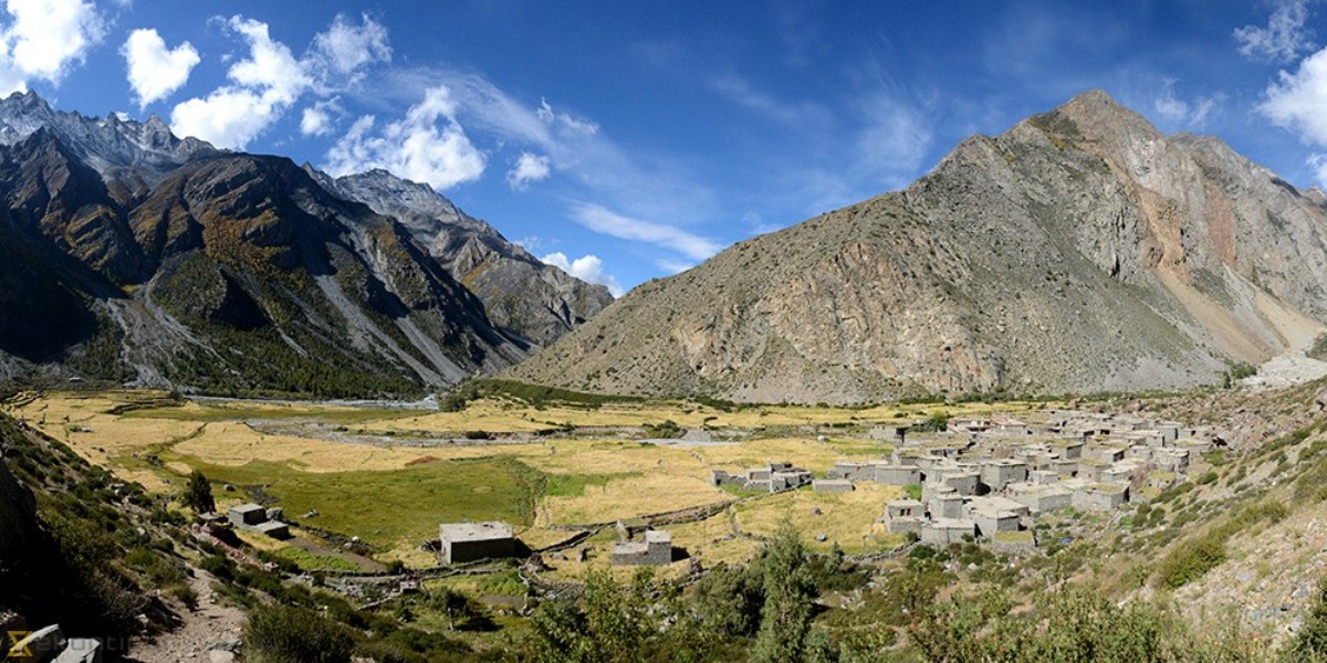 limi-humla