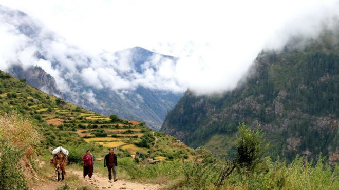 humla1