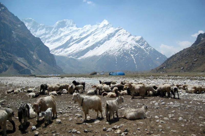 आहा ! दार्चुला