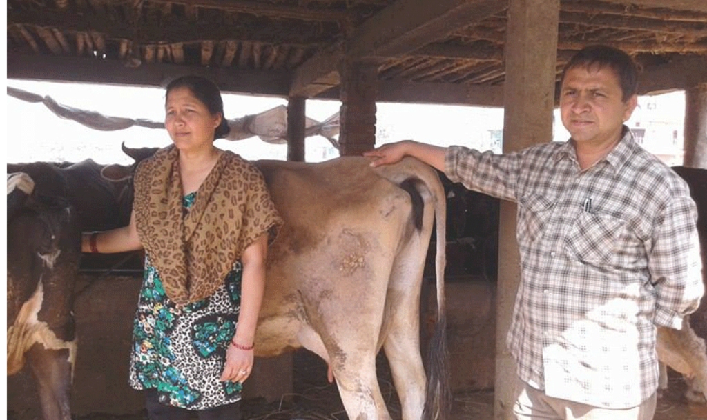कृषिमा होम्मिदै शिक्षित युवा