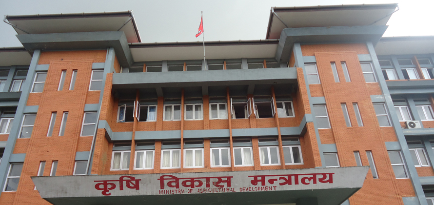 द्धन्द्ध पीडित ८ जिल्लाका कृषकले पाउने कृषिमा ८५ प्रतिशत अनुदान