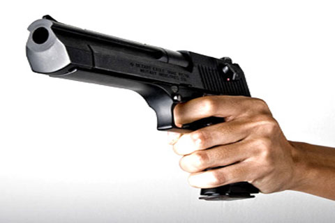 देउली चौकीबाट लुटिएका सवै हतियार बरामद