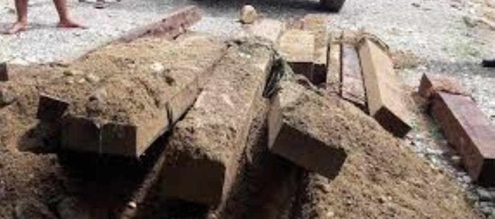 शसस्त्र प्रहरीद्धारा अवैध काठ बरामद