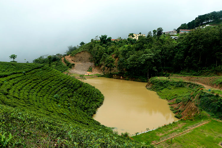 किसानका घर घरमा पोखरी