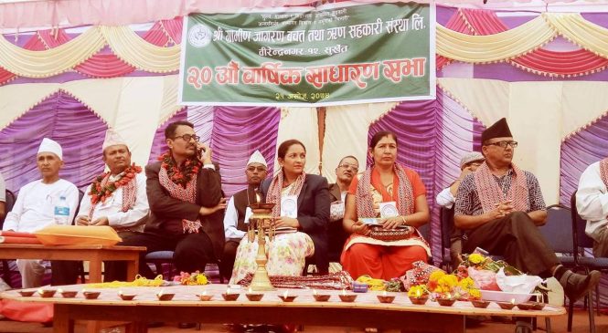 ग्रामीण जागरण सहकारीले दिवा सेवा दिने