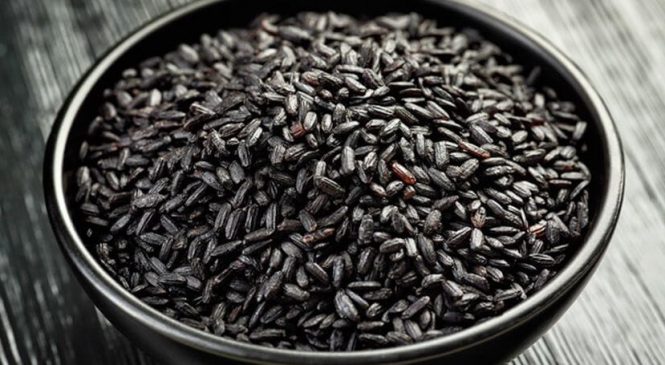 एक रोपनीमा आठ क्विन्टल कालो धान उत्पादन