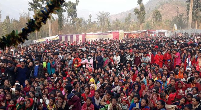 बोटेचौर महोत्सवमा ५५ हजार दर्शकले गरे अवलोकन