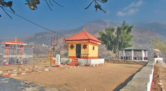 मुसिकोटडाँडाले आम्दानी गर्दै