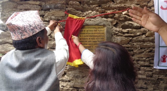 गाउँमै खुल्यो, दाना उद्योग