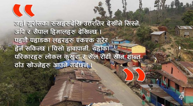 चम्किदै गुराँसे