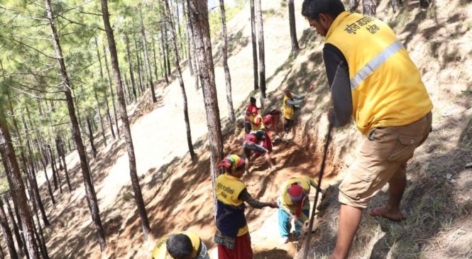 विकास र रोजगारीका लागि वडावडामा कार्यदल