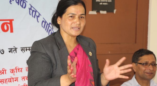 उत्कृष्ट उत्पादक नायक नायिका घोषणा गर्दै सरकार