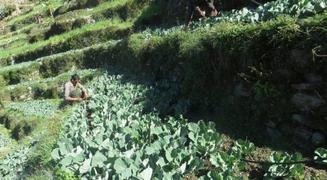 कृषकसँग बजेटबारे छलफल गर्दै कर्णाली कृषि मन्त्रालय