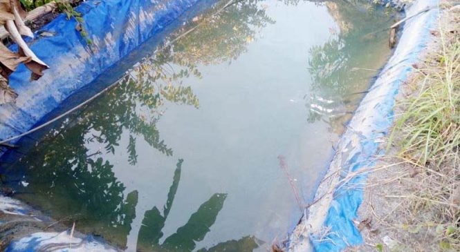 सुख्खा क्षेत्रमा प्रभावकारी बन्दै प्लाष्टिक पोखरी