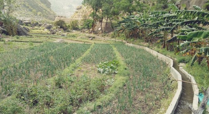 कालिकोटमा चार वर्षमा ७५ सिँचाइ कुलो निर्माण