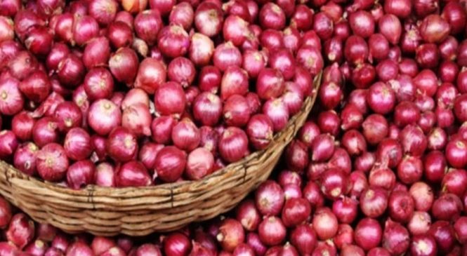 भारतबाट प्याज निर्यात बन्द