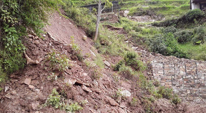 सरकारी अनुदानको जालीको चरम दुरुपयोग, खेतमा पनि राजनीतिक भेदभाव