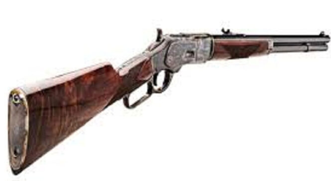 साथीले बोकेको भरुवा बन्दुक पड्केर एक जनाको मृत्यु