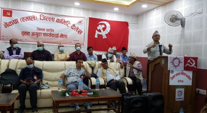 पार्टी सञ्चालन गर्न जानेनौं एमाले उपाध्यक्ष ज्ञवाली