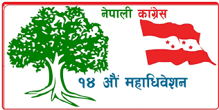 प्रदेश अधिवेशनका लागि कांग्रेसले तोक्यो सात संयोजक