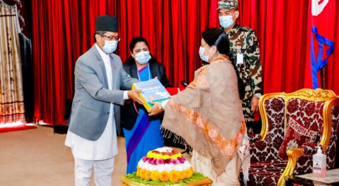 स्थानीय तह र शिक्षामा सबैभन्दा बढी अनियमितताका उजुरी