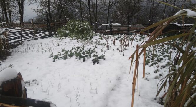 दैलेखमा बाक्लो हिमपात, जनजीवन कष्टकर