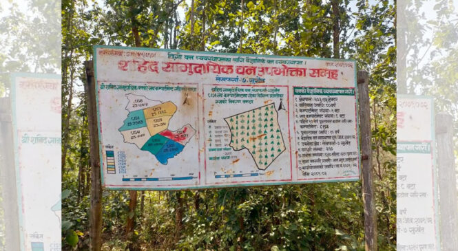 वन समितिबाटै आयआर्जन