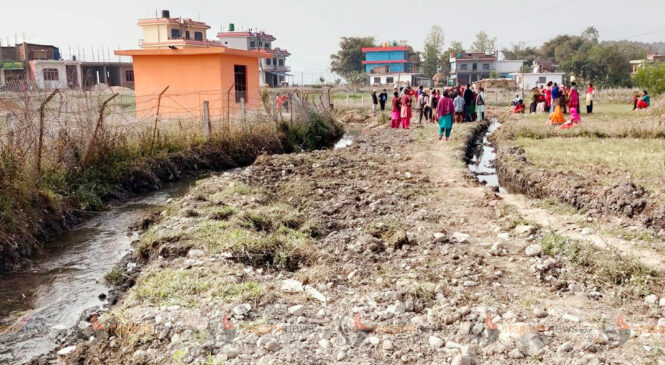 वडाअध्यक्षको सिफारिसमा सिमसार क्षेत्रमा सडक