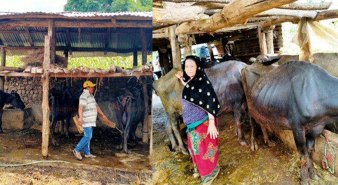 दुध बेचेर आत्मनिर्भर