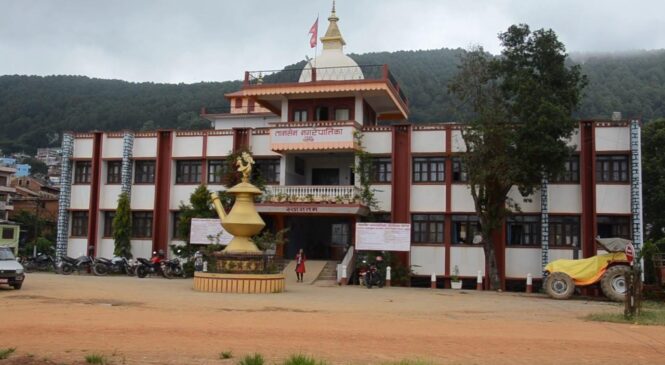 स्थानीय तहको प्रमुख प्रशासकीय अधिकृत प्रदेश निजामती सेवाको हुने