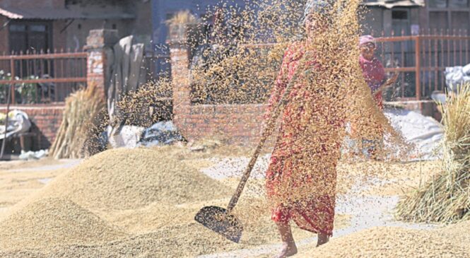 विषादीमुक्त प्रदेश निर्माणको अभियानमा कर्णाली सरकार