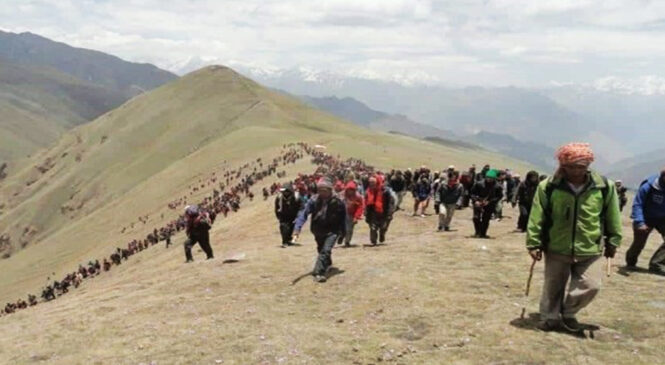 यार्सा सङ्कलनका लागि मुगुका बासिन्दा पाटनतिर