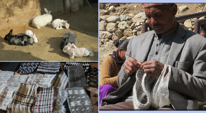 ‘हाइप्रोफाइल’को रोजाइमा खरायोको टोपी