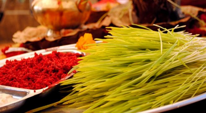 आज घरघरमा फूलपाती भित्र्याइँदै