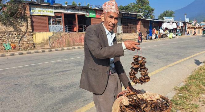 वीरेन्द्रनगरमा छेडाको माछा