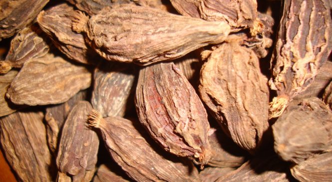 अलैँची बिक्रीबाट २४ करोड आम्दानी