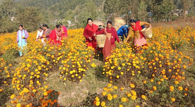 सहिद प्रहरीका परिवारले लगाएको सयपत्री फूल