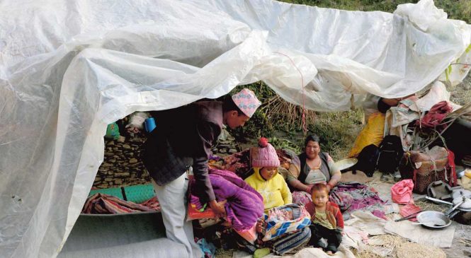 भूकम्प प्रभावित क्षेत्रमा करोडौँको कृषि कार्यक्रम