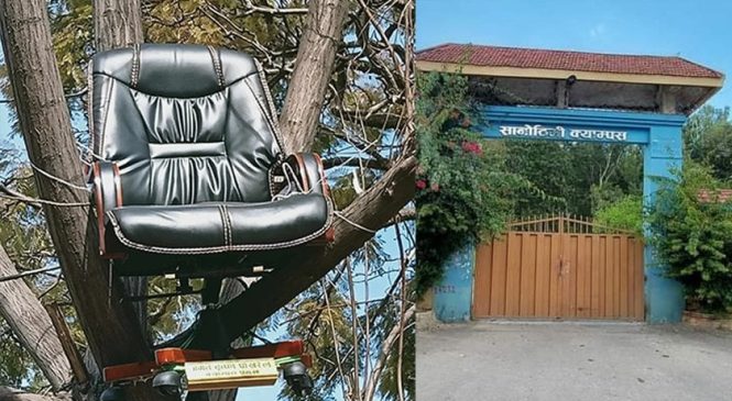 क्याम्पस प्रमुखको कुर्सी किन रूखमा