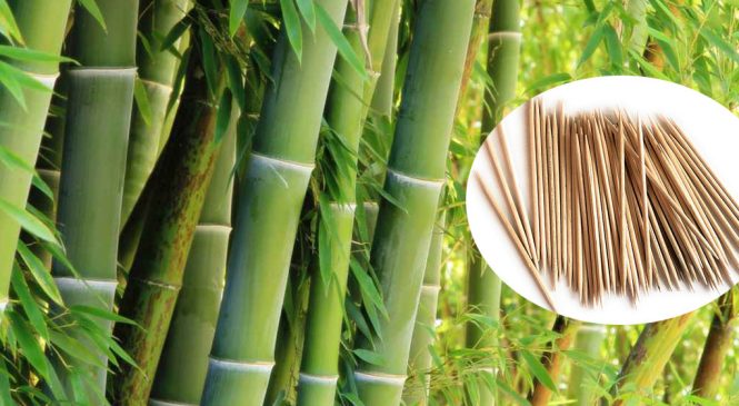 बाँसका सिन्का उत्पादन गर्दै काठेखोला