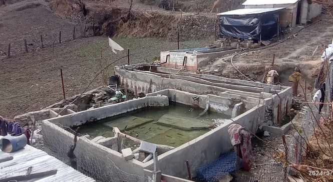 माछापालनबाट खुसी छन् राजेन्द्रका दम्पती