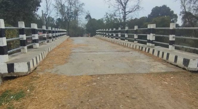 खेत–खलियानको बिचमा साढे तीन करोडको पुल!