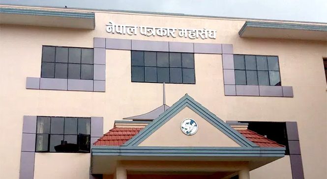 कस्तो थियो पत्रकार महासंघ, कस्तो भयो !