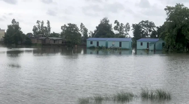 दाङ, बाँके, बर्दियामा अति भारीसम्म वर्षा