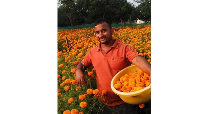 २४ वर्षीय युवाको लोभलाग्दो व्यावसायिक फूलखेती