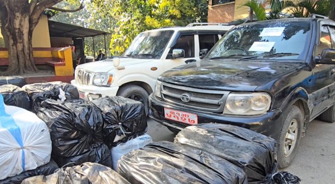 सरकारी नम्बर प्लेटका दुई गाडीबाट ६९० किलो गाँजा बरामद