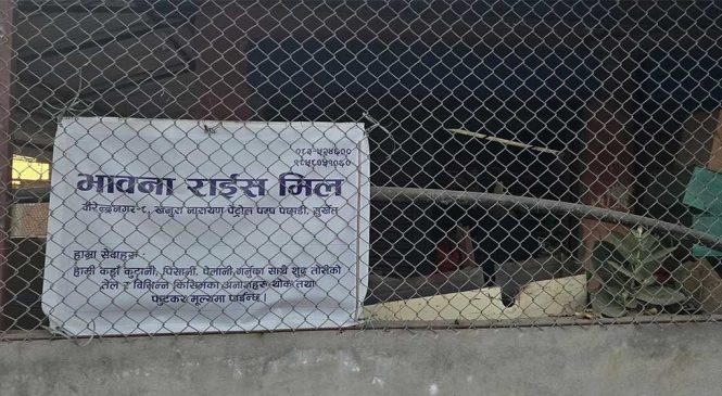 भावना राइस मिलमा छापा : चामल र तोरी परीक्षणका लागि ल्याइयो