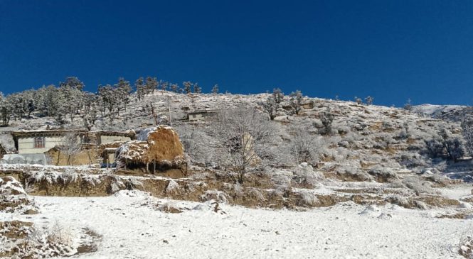 हिउँ परेपछि जुम्लाका किसान उत्साहित